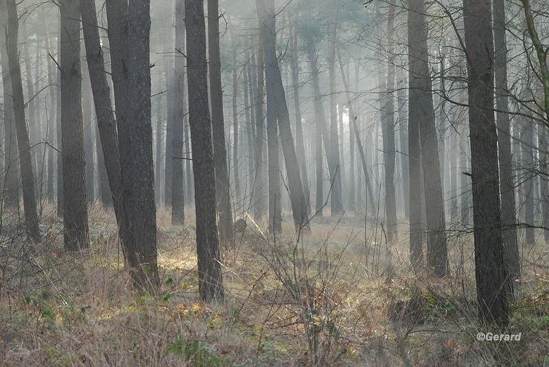 Tegenlicht aan Den Draad.JPG - Tegenlicht aan De Ezel.